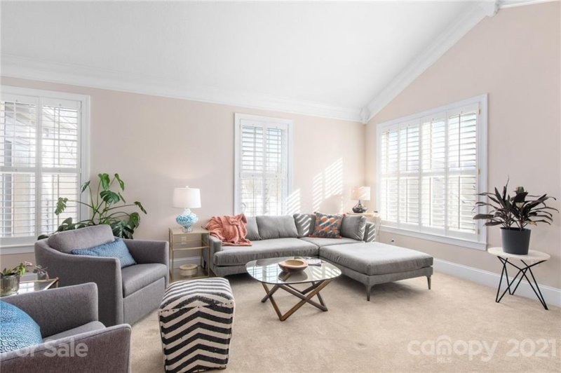 Property image 4 at 21 Flowering Cherry Drive, Asheville, NC 28805