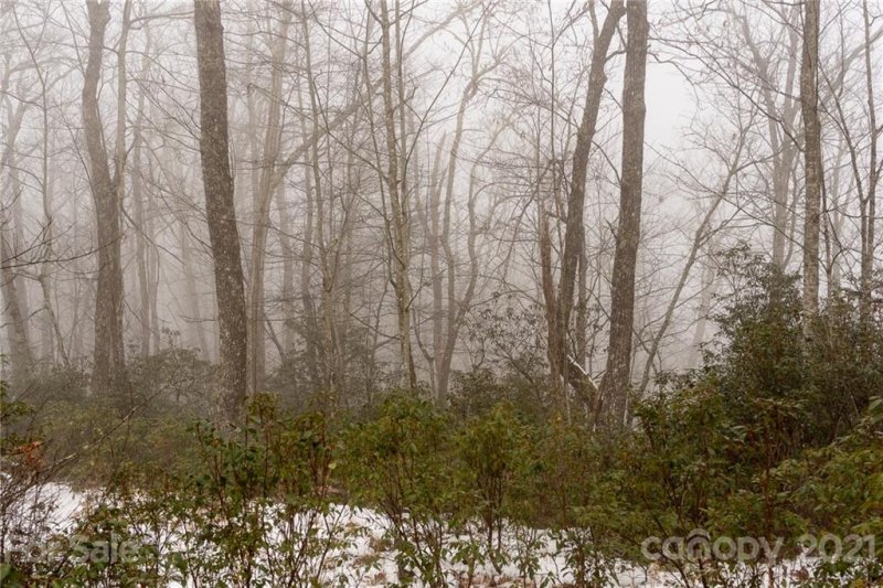 Property image 3 at 65 Indian Camp Mountain Road, Rosman, NC 28772