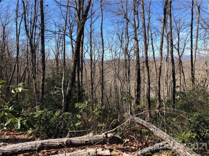 Property image 4 at 65 Indian Camp Mountain Road, Rosman, NC 28772