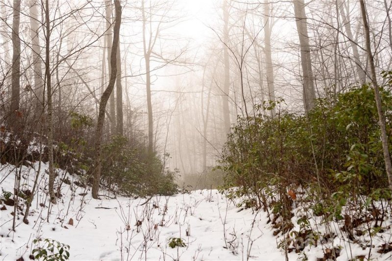 Property image 5 at 65 Indian Camp Mountain Road, Rosman, NC 28772