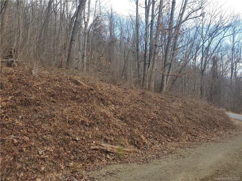 Property image 2 at Tbd Spring Valley Road, Waynesville, NC 28786