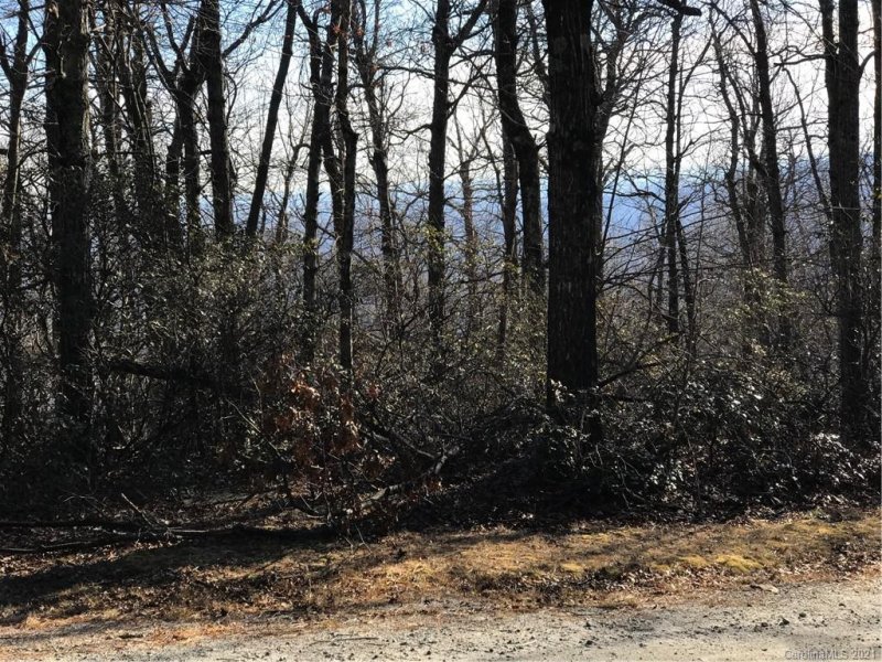 Property image 2 at 00 Arrowhead Trail, Columbus, NC 28722