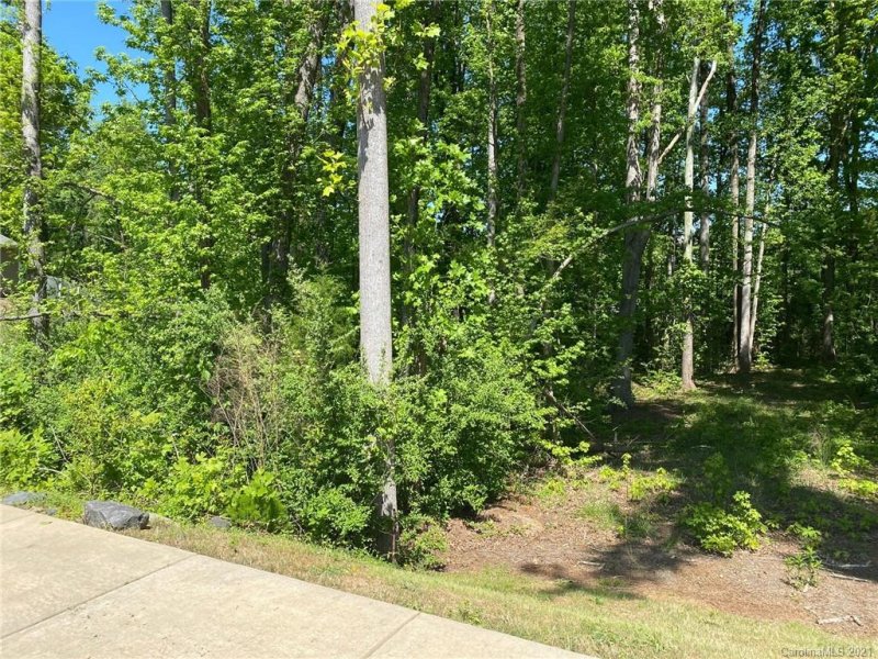 Property image 2 at 1512 Spring Blossom Trail, Fort Mill, SC 29708