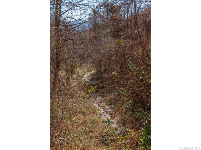 Property image 3 at 405 Rimesdale Way, Waynesville, NC 28785