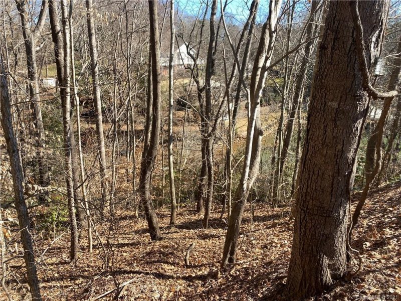 Property image 3 at 0 Lake Forest Drive, Taylorsville, NC 28681