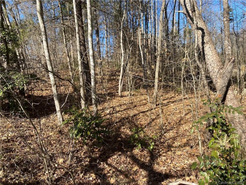 Property image 4 at 0 Lake Forest Drive, Taylorsville, NC 28681