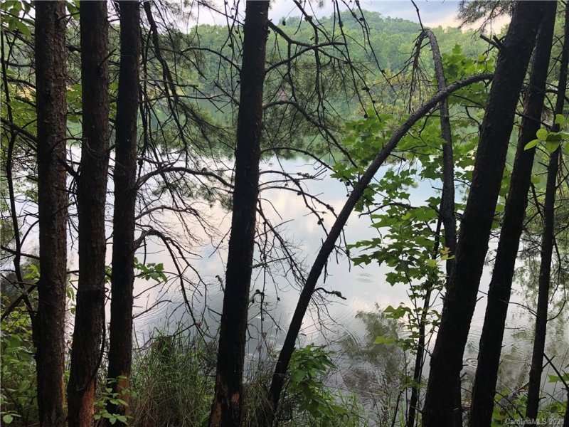 Property image 3 at 0 Searcy Court, Lake Lure, NC 28746