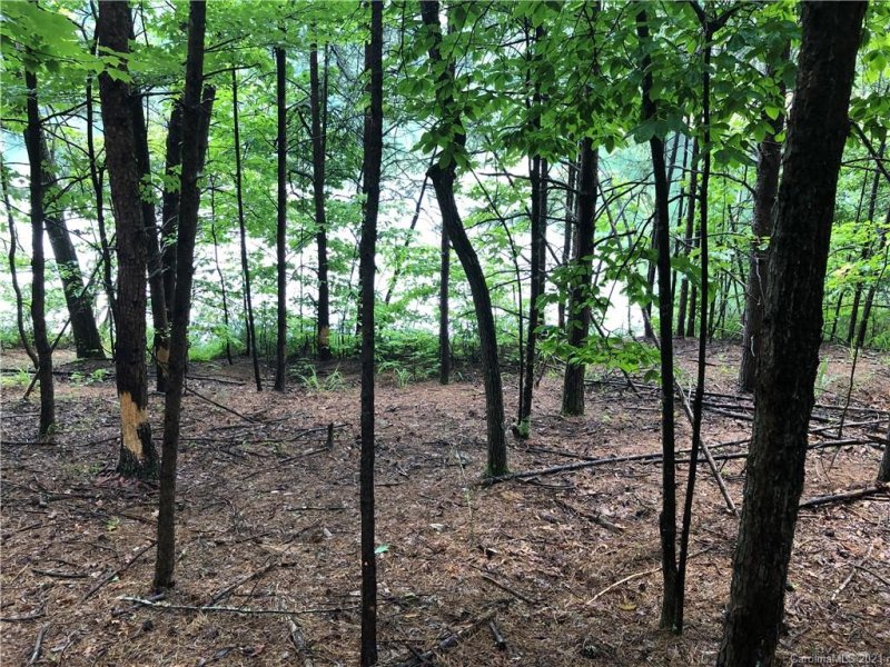 Property image 4 at 0 Searcy Court, Lake Lure, NC 28746