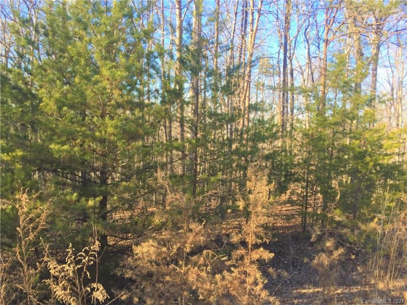 Property image 3 at Lot 75 River Ridge Parkway, Rutherfordton, NC 28139