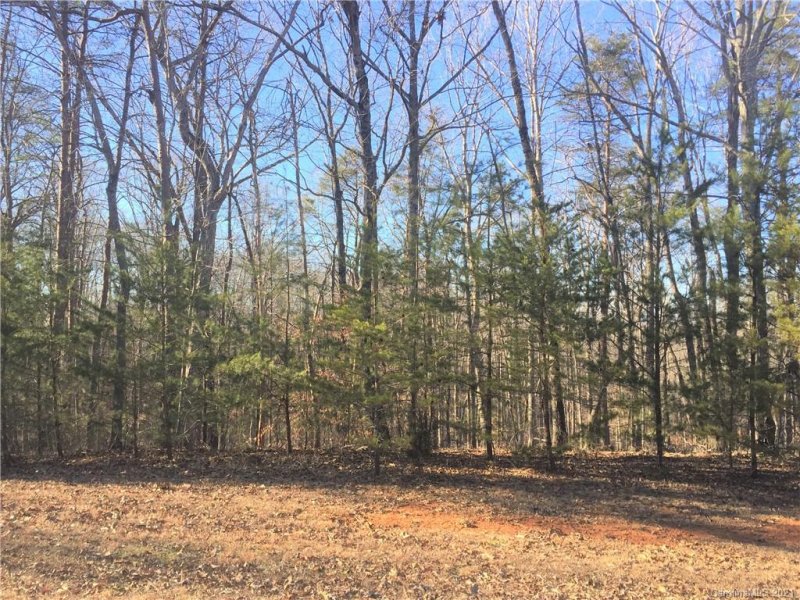 Property image 5 at Lot 75 River Ridge Parkway, Rutherfordton, NC 28139