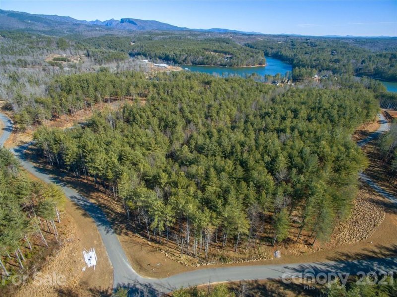 Property image 3 at V L Pine Ridge Drive, Nebo, NC 28761