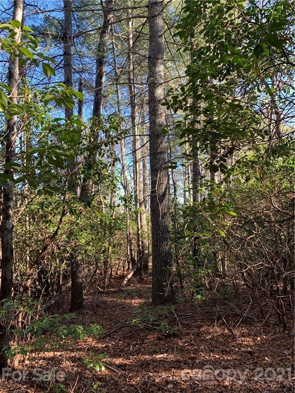 Property image 3 at Lot 18 R Hawkins Hollow Road, Pisgah Forest, NC 28768