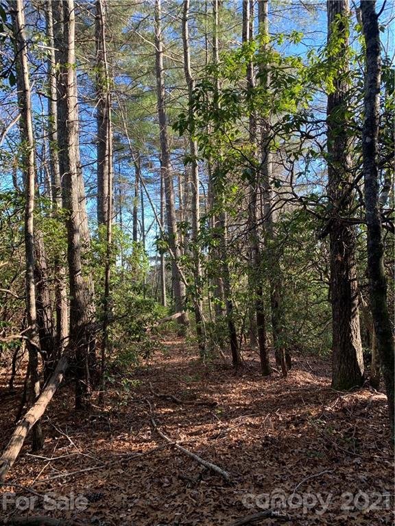 Property image 4 at Lot 18 R Hawkins Hollow Road, Pisgah Forest, NC 28768