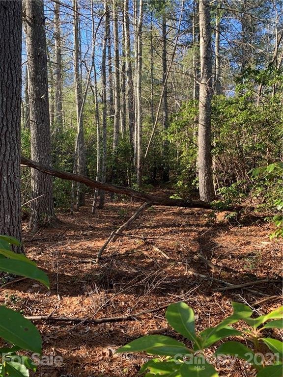 Property image 5 at Lot 18 R Hawkins Hollow Road, Pisgah Forest, NC 28768