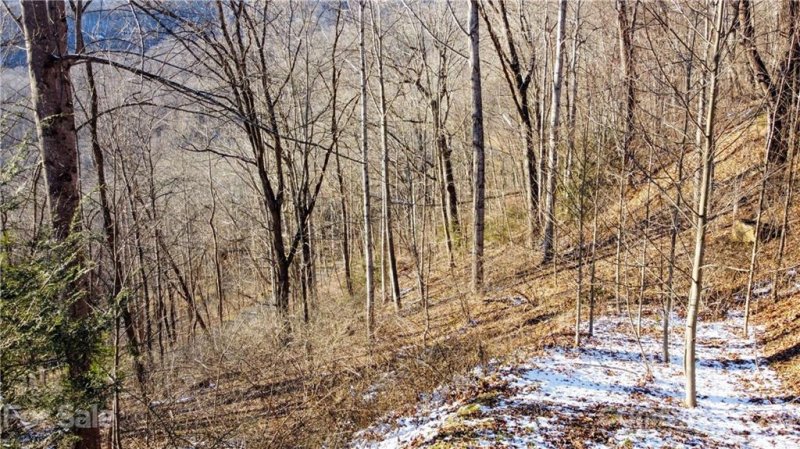 Property image 3 of 13 Ironwood Lane in Scarlet Oaks, Maggie Valley, NC 28751