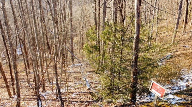 Property image 4 of 13 Ironwood Lane in Scarlet Oaks, Maggie Valley, NC 28751