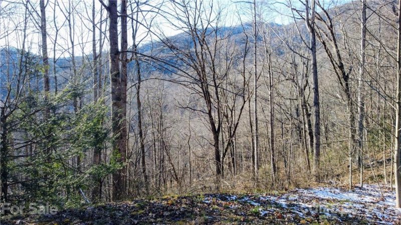 Property image 5 of 13 Ironwood Lane in Scarlet Oaks, Maggie Valley, NC 28751