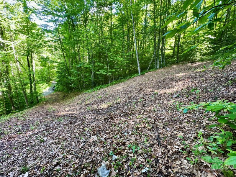 Property image 2 at 14 Trout Lily Lane, Maggie Valley, NC 28751