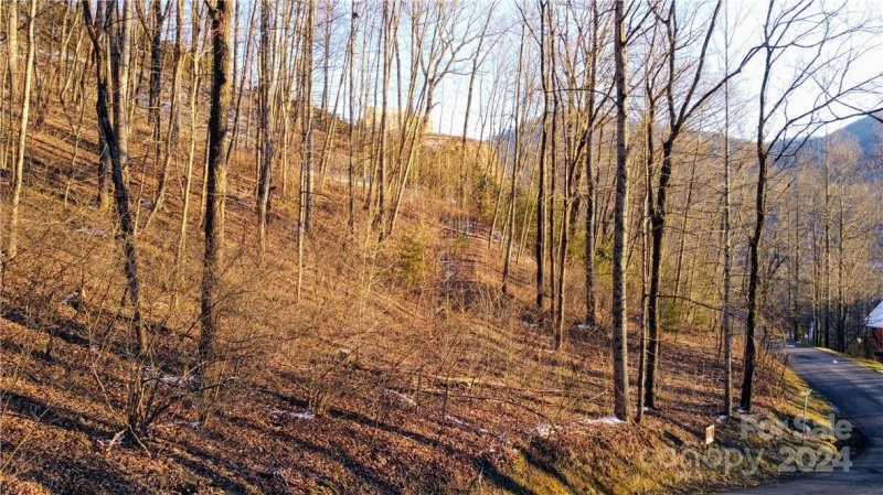 Property image 5 at 14 Trout Lily Lane, Maggie Valley, NC 28751