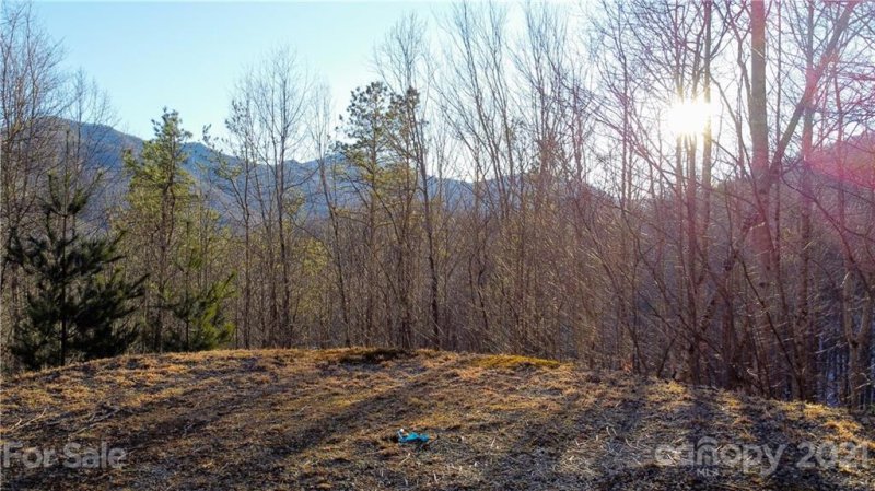 Property image 2 at 00 Basswood Cove, Maggie Valley, NC 28786