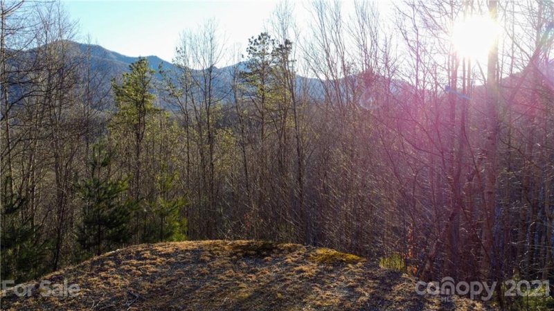 Property image 3 at 00 Basswood Cove, Maggie Valley, NC 28786