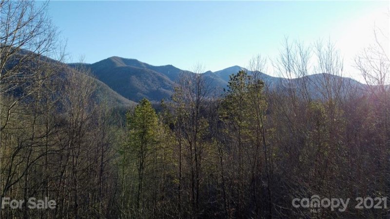 Property image 5 at 00 Basswood Cove, Maggie Valley, NC 28786