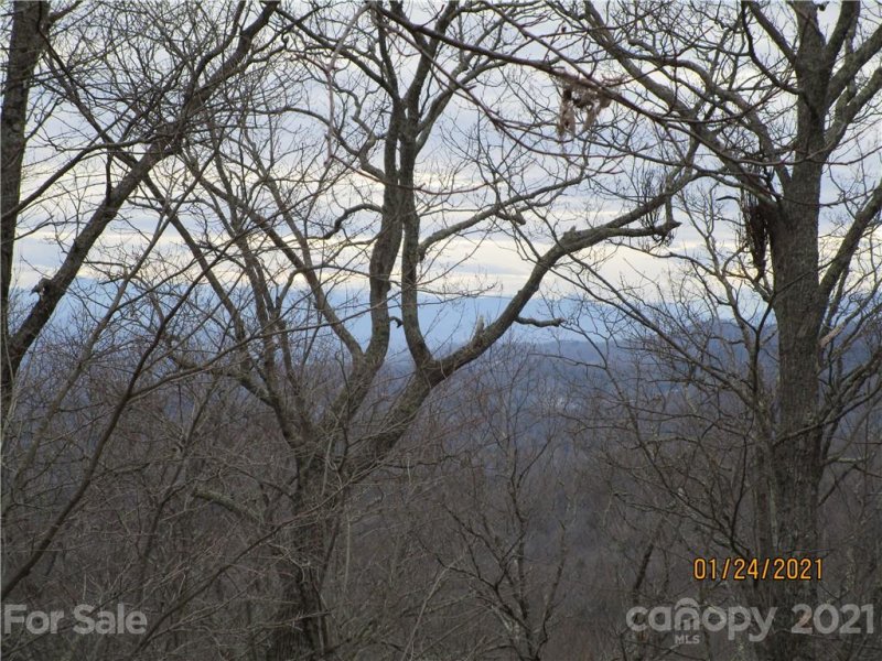 Property image 4 at 00000 Bee Tree Road, Swannanoa, NC 28778