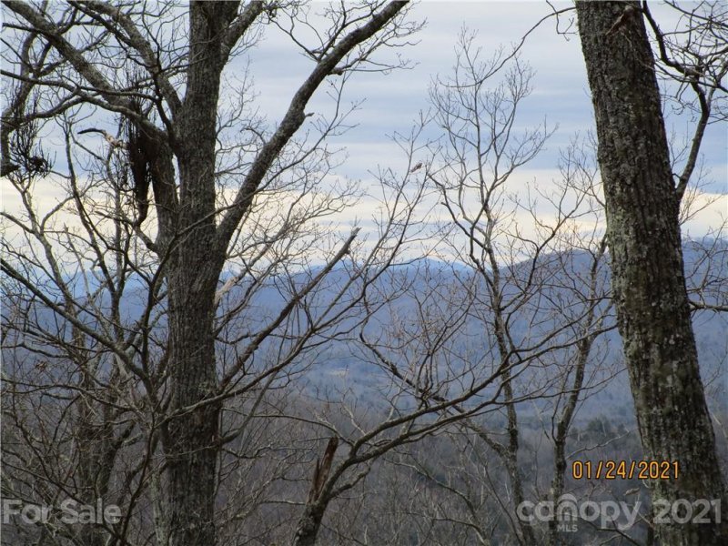 Property image 5 at 00000 Bee Tree Road, Swannanoa, NC 28778