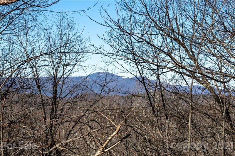 Property image 2 at 274 Table Rock Drive, Saluda, NC 28773