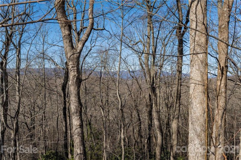 Property image 3 at 274 Table Rock Drive, Saluda, NC 28773