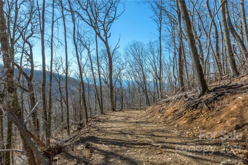 Property image 3 at 80 Ogle Meadows Road, Burnsville, NC 28714