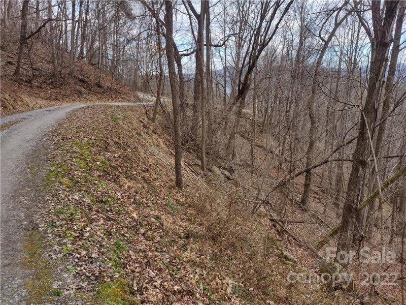 Property image 2 at Land Off High Spring Trail, Waynesville, NC 28786