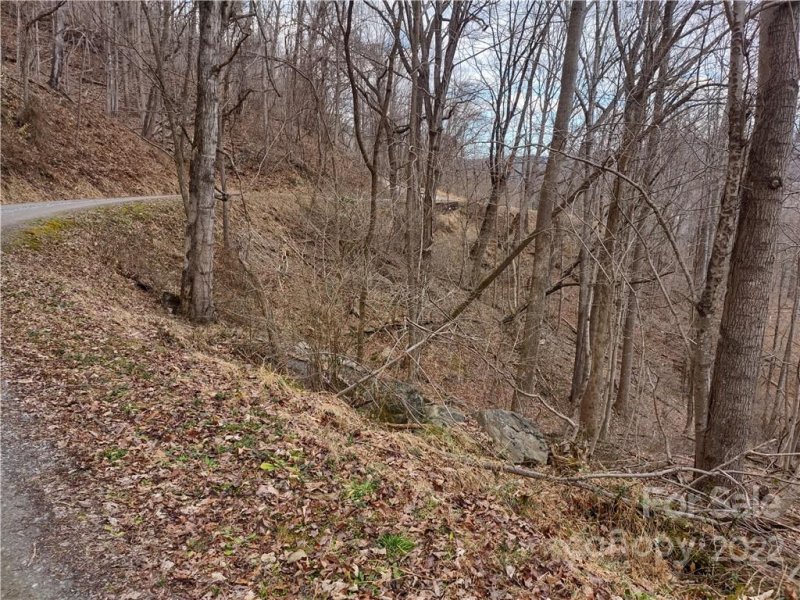 Property image 3 at Land Off High Spring Trail, Waynesville, NC 28786