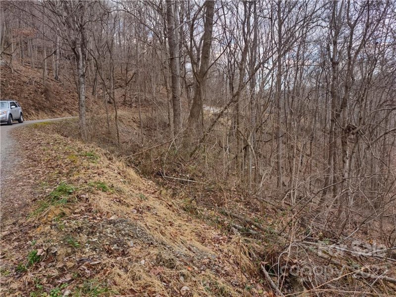 Property image 4 at Land Off High Spring Trail, Waynesville, NC 28786