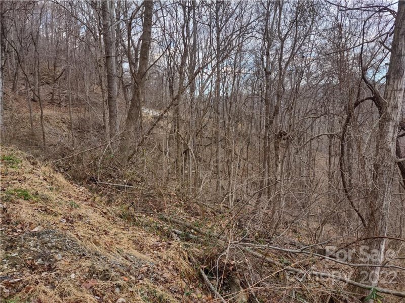 Property image 5 at Land Off High Spring Trail, Waynesville, NC 28786