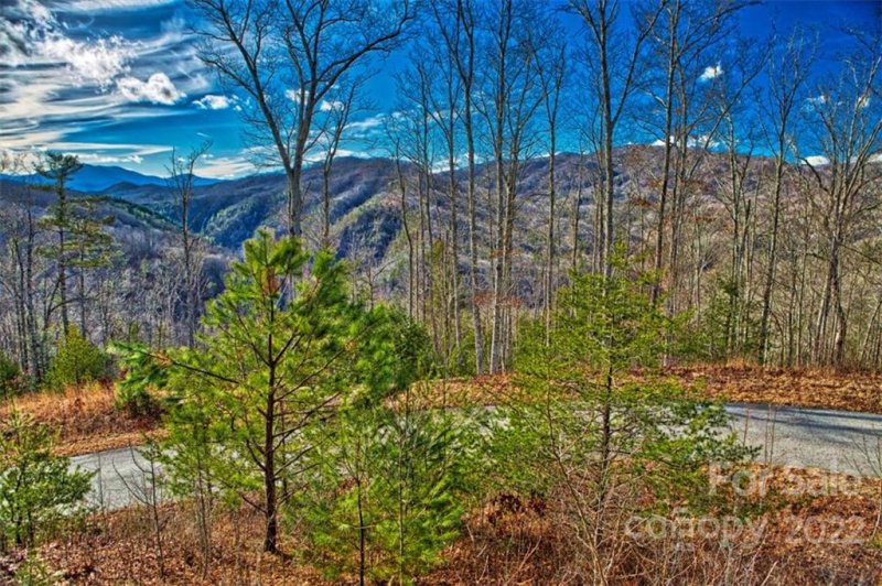 Property image 2 at Lot 133 Bear River Lodge Trail, Marshall, NC 28753
