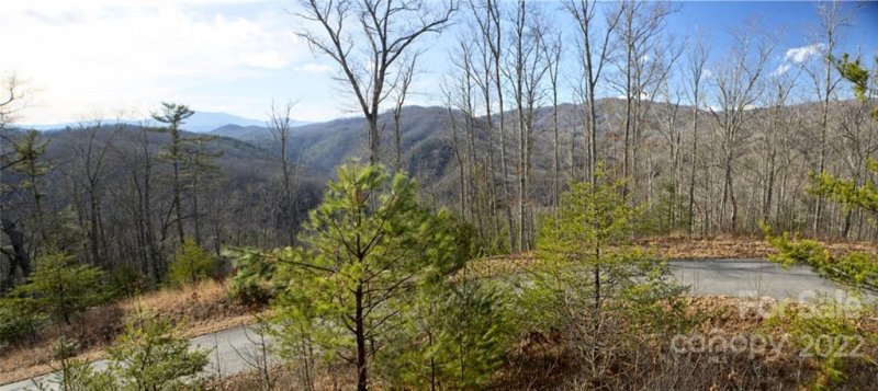 Property image 4 at Lot 133 Bear River Lodge Trail, Marshall, NC 28753
