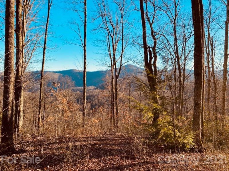 Property image 2 at Tbd Mountain Watch Drive, Waynesville, NC 28786