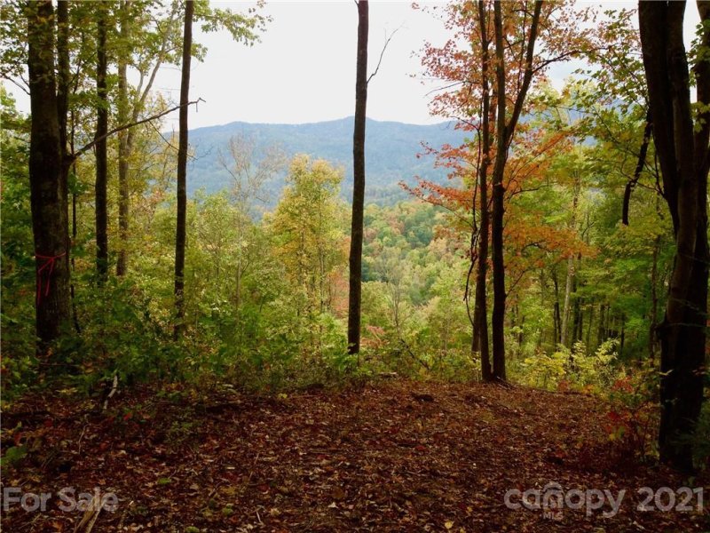 Property image 3 at Tbd Mountain Watch Drive, Waynesville, NC 28786