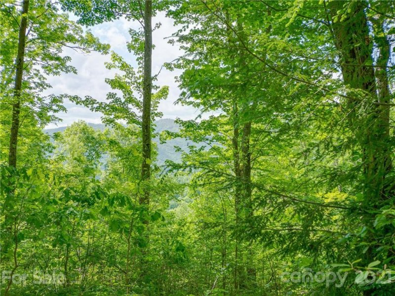 Property image 4 at Tbd Mountain Watch Drive, Waynesville, NC 28786