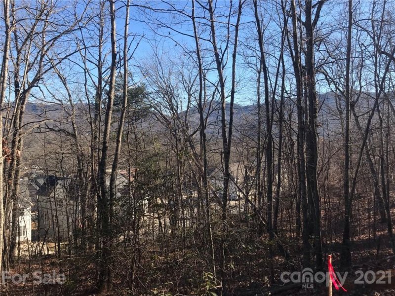 Property image 4 at Tbd Sussex Court, Black Mountain, NC 28711