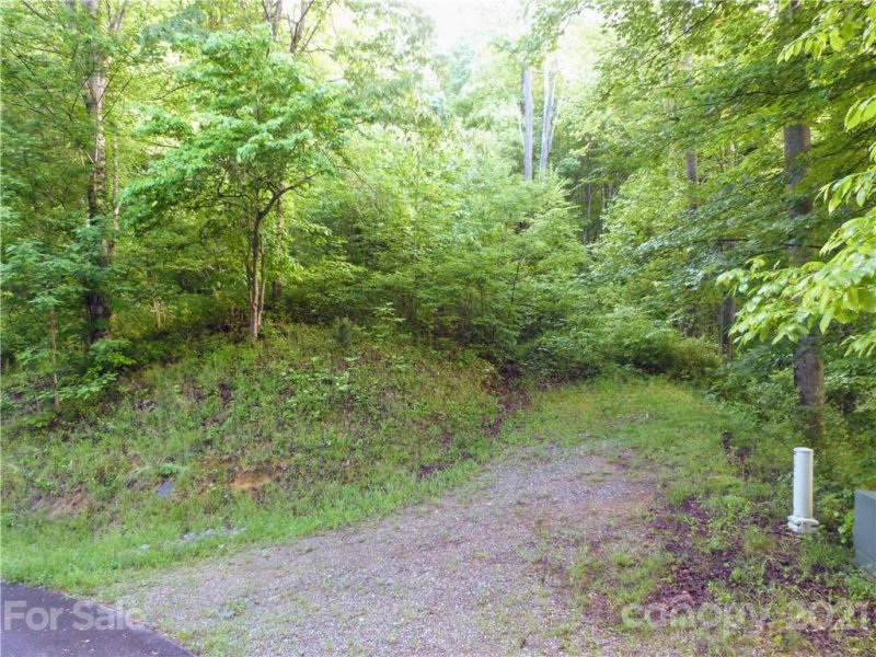 Property image 3 at 00 Loblolly Way, Maggie Valley, NC 28751