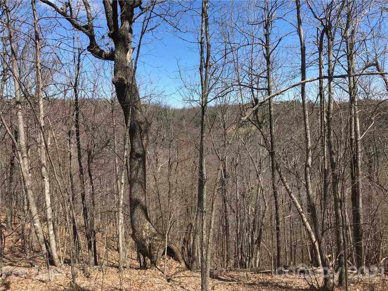 Property image 5 at 99999 High Rock Acres Drive, Black Mountain, NC 28711