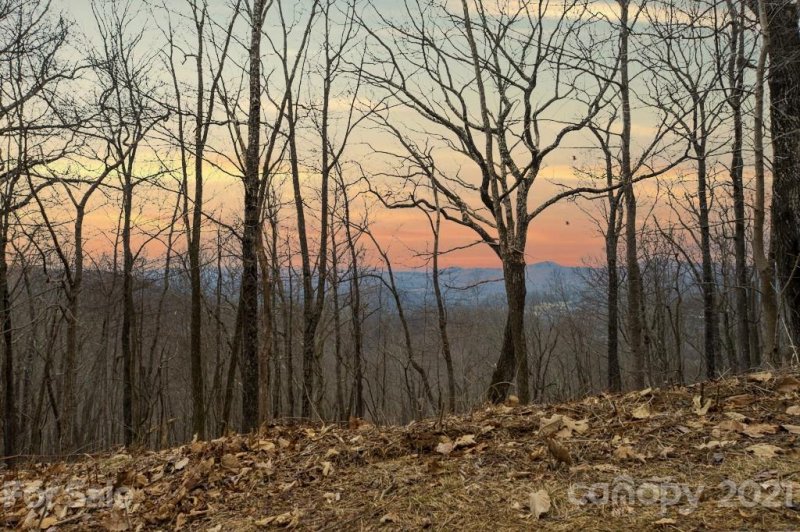 385 High Hickory Trail