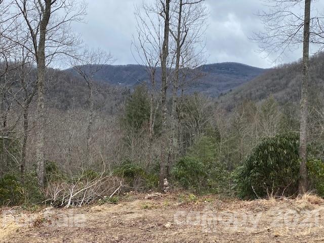 Property image 2 at 0000 Silverglen Way, Hendersonville, NC 28792