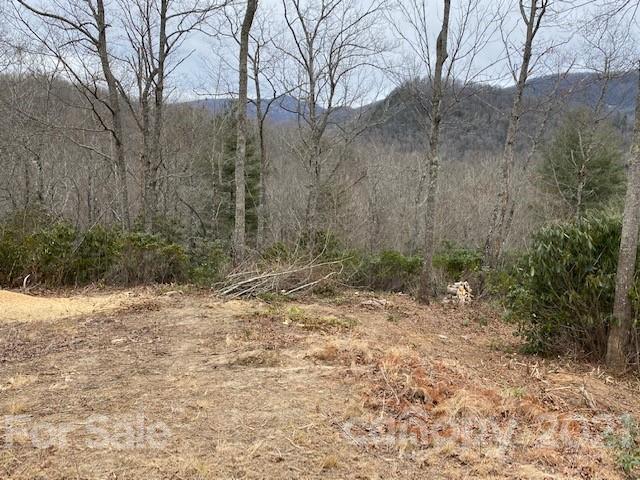 Property image 3 at 0000 Silverglen Way, Hendersonville, NC 28792