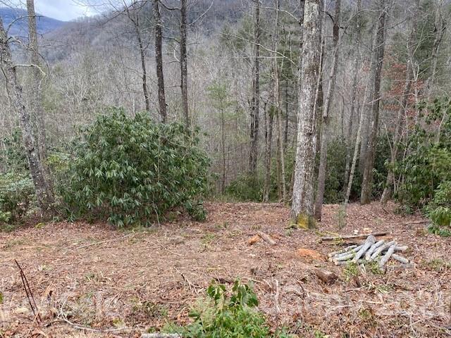 Property image 4 at 0000 Silverglen Way, Hendersonville, NC 28792