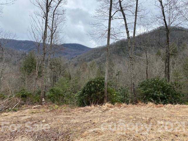 Property image 5 at 0000 Silverglen Way, Hendersonville, NC 28792