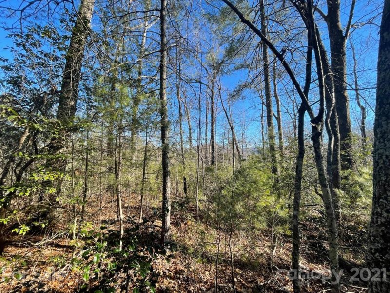 Tbd Mountain Home Trail