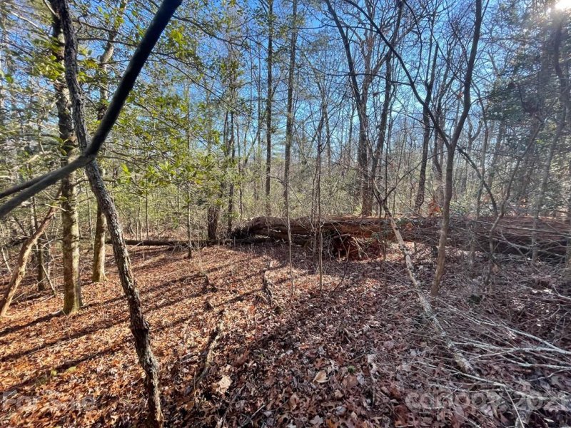 Property image 2 at Tbd Mountain Home Trail, Brevard, NC 28712